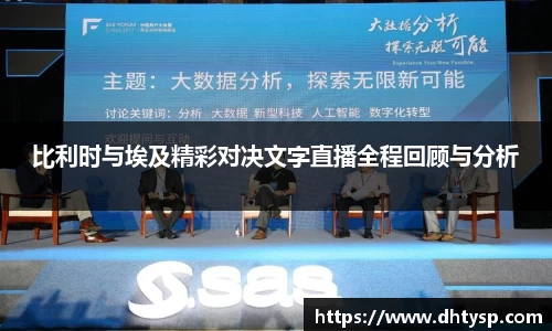 比利时与埃及精彩对决文字直播全程回顾与分析