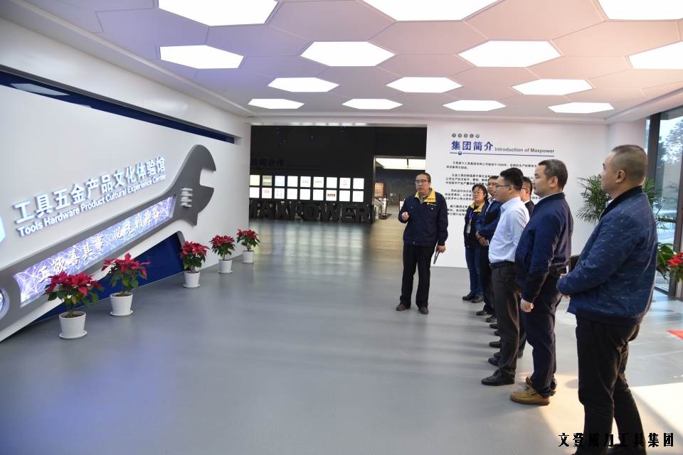 DSC_1731.JPG YH533388银河工具集团“引智强企”企业诊断大会正式启动(图4)